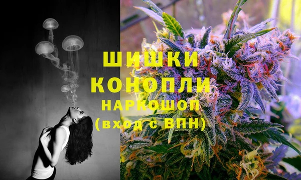 ECSTASY Няндома
