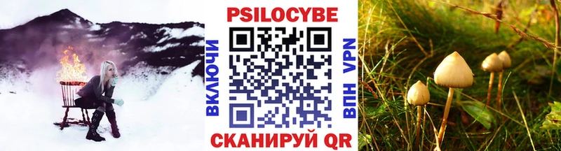 Галлюциногенные грибы Magic Shrooms  Купить  Мглин 